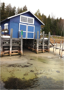 clientuploads/news/January 2013/Water1.jpg